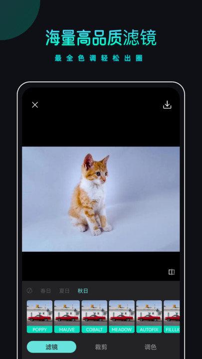 picsdazz修图水印app下载,picsdazz修图水印,修图app